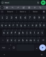 Screenshot_20241130-185318.jpg